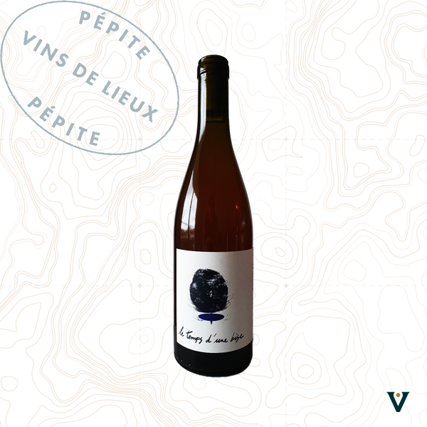 THIBAUD CAPELLARO, LE TEMPS D'UNE BISE 2023 - VINS DE LIEUX