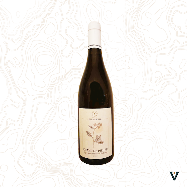 DOMAINE DES MYOSOTIS , CHAMP DE PIERRE 2022 - VINS DE LIEUX