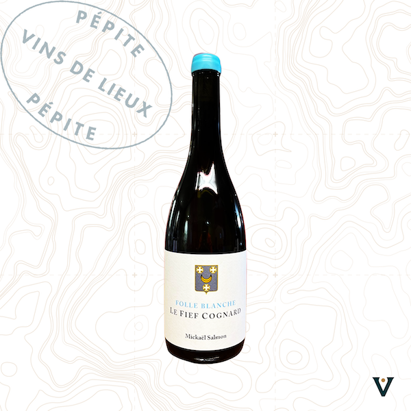 DOMAINE LUCAS-SALMON, FOLLE BLANCHE "LE FIEF COGNARD" 2023 - VINS DE LIEUX
