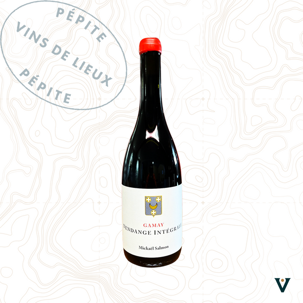 DOMAINE LUCAS-SALMON, GAMAY "VENDANGE INTEGRALE" 2023 - VINS DE LIEUX