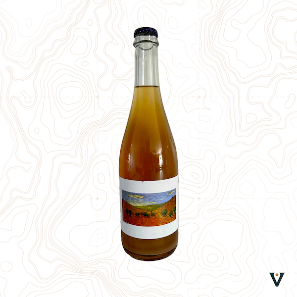 CIDRE EXTRA BRUT - LET THE SUNSHINE IN (POMMES SAUVAGES) - VINS DE LIEUX