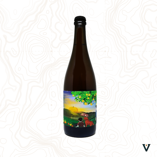 CIDRE KORRIGANS, FRERES DE POMME 2022 - VINS DE LIEUX