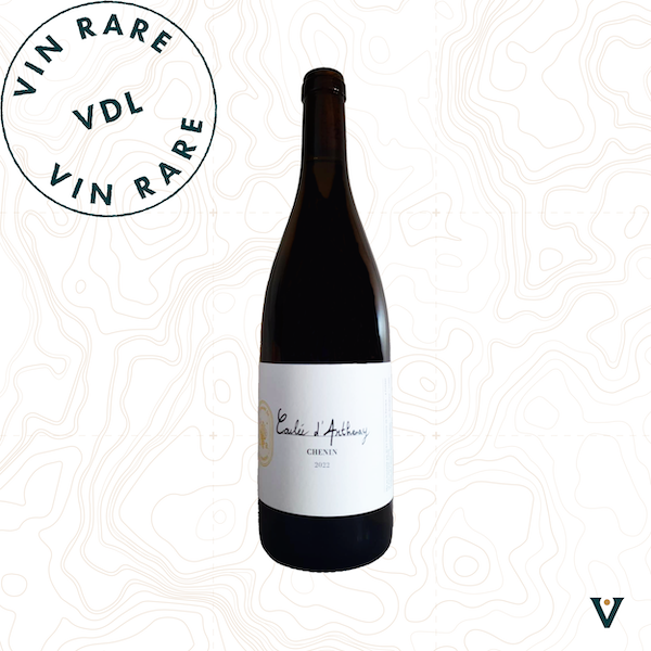 DOMAINE DE LA RENIERE, COULEE D'ARTHENAY 2022 - VINS DE LIEUX