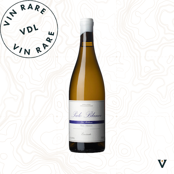 ENVINATE, PALO BLANCO "LAS MOLINAS" 2022 - VINS DE LIEUX