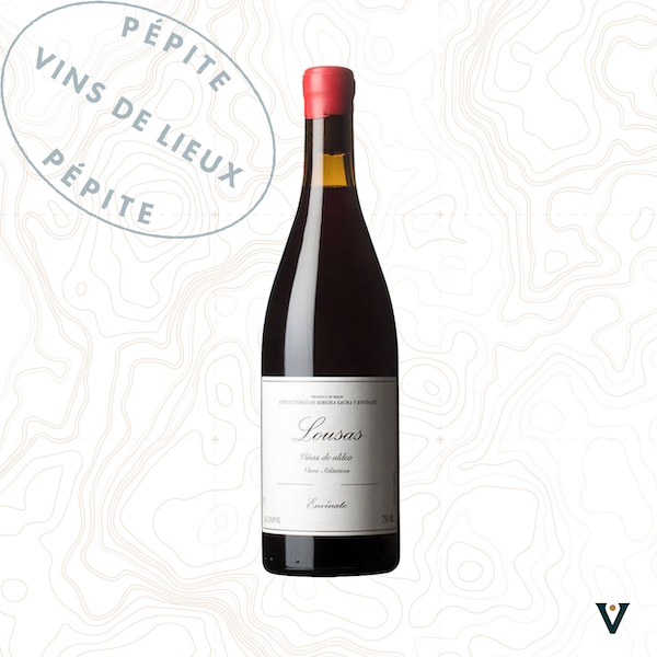 ENVINATE, VINA DE ALDEA 2023 - VINS DE LIEUX