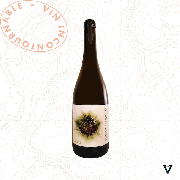 TAILLEURS CUEILLEURS, FUTUR VEGETAL 2023 - VINS DE LIEUX