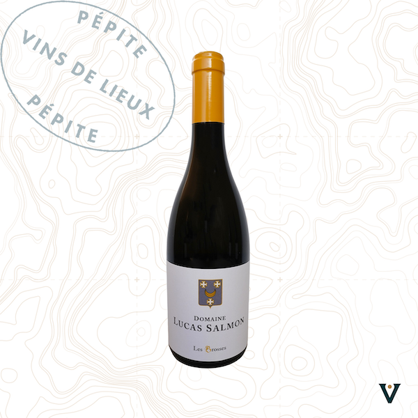 DOMAINE LUCAS-SALMON, MUSCADET "LES BROSSES" 2022 - VINS DE LIEUX