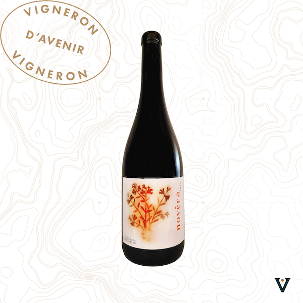 TAILLEURS CUEILLEURS, NOVERA 2023 - VINS DE LIEUX