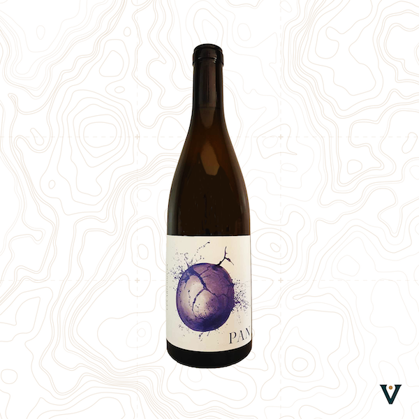 DOMAINE LES ARICOQUES, PAN 2022 - VINS DE LIEUX