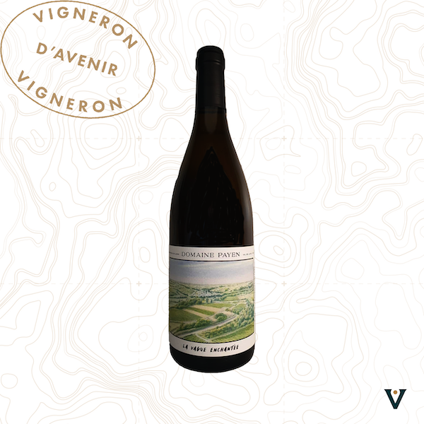 DOMAINE PAYEN, ANJOU "LA VAGUE ENCHANTEE" 2023 - VINS DE LIEUX