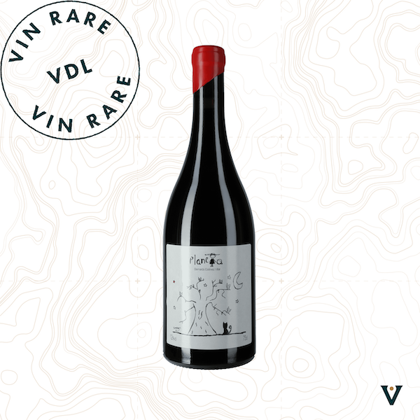 BERNARDO ESTEVEZ, PLANETA 2020 - VINS DE LIEUX