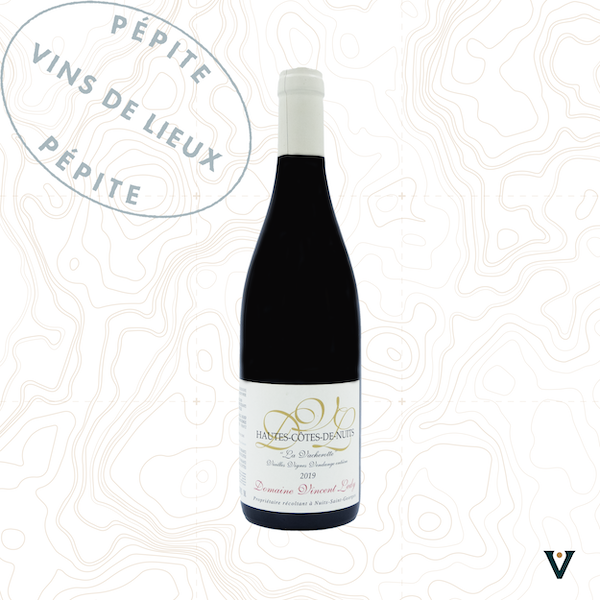 DOMAINE VINCENT LEDY, HAUTES-CÔTES-DE-NUITS "LA VACHEROTTE" VIEILLES VIGNES VENDANGE ENTIERE 2019 - VINS DE LIEUX