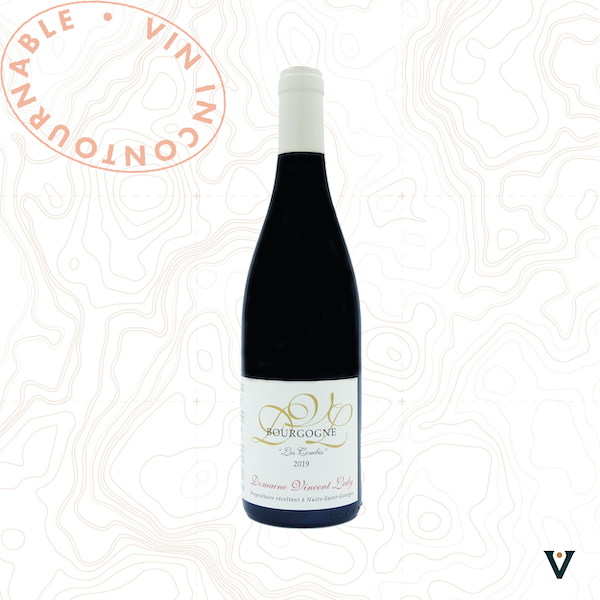 DOMAINE VINCENT LEDY, BOURGOGNE "LES COMBES" 2019 - VINS DE LIEUX