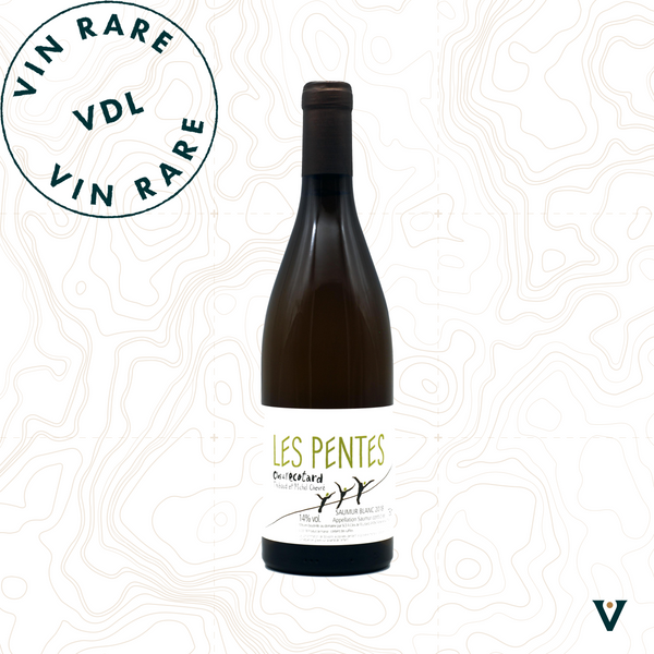 CLOS DE L'ECOTARD, LES PENTES 2020 - VINS DE LIEUX