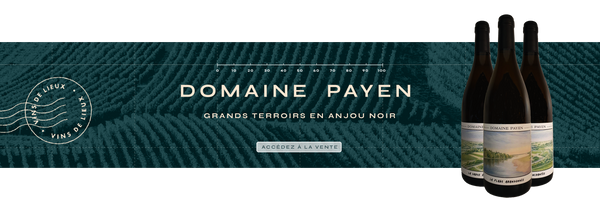 Domaine Payen, grands terroirs en Anjou noir