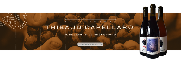 Thibaud Capellaro, il redéfinit  le Rhône nord