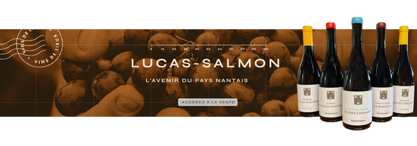 Le domaine Lucas-Salmon, l’avenir du pays nantais