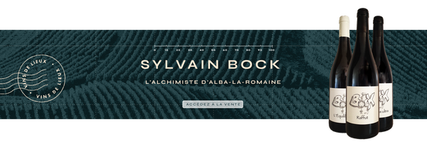 Sylvain Bock, l'alchimiste d'Alba-la-Romaine