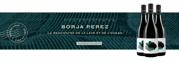 Borja Pérez, la rencontre de la lave et de l'océan