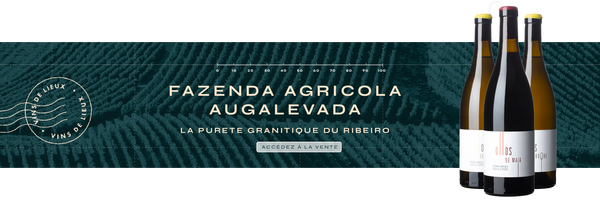 Fazenda Agricola Augalevada, la pureté granitique du Ribeiro