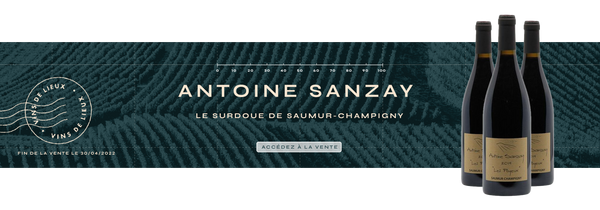 Antoine Sanzay, le surdoué de Saumur-Champigny