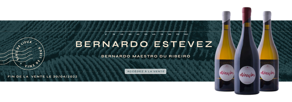 Bernardo Estévez, Maestro du Ribeiro