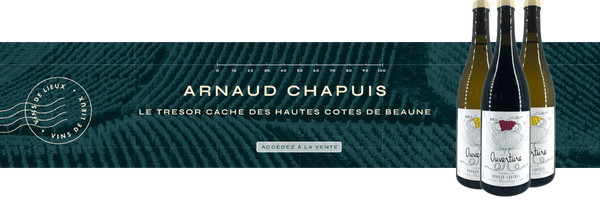 Arnaud Chapuis, Le trésor caché des Hautes-Côtes de Beaune