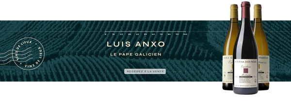 Luis Anxo, le pape Galicien