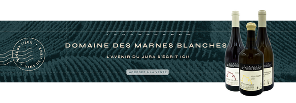 Domaine des Marnes Blanches: l’avenir du jura s’écrit ici!