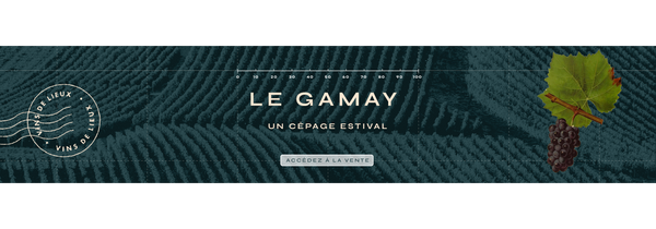 Le Gamay, un cépage estival