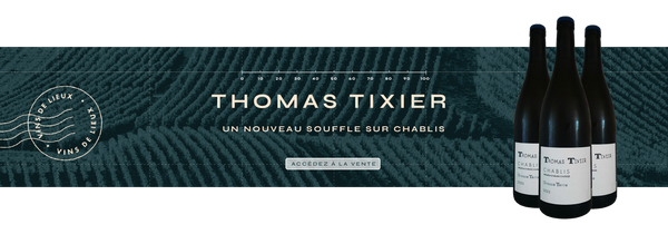 Thomas Tixier, un nouveau souffle sur Chablis