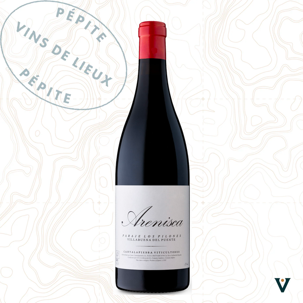 MANUEL CANTALAPIEDRA, ARENISCA 2023 - VINS DE LIEUX