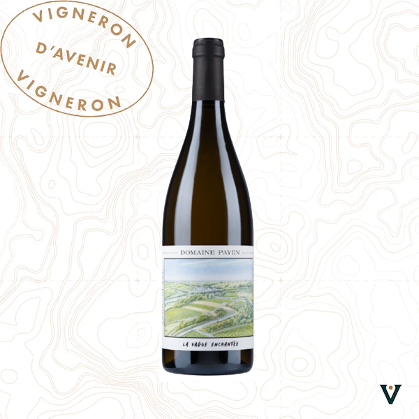 DOMAINE PAYEN, ANJOU "LA VAGUE ENCHANTEE" 2024 - VINS DE LIEUX