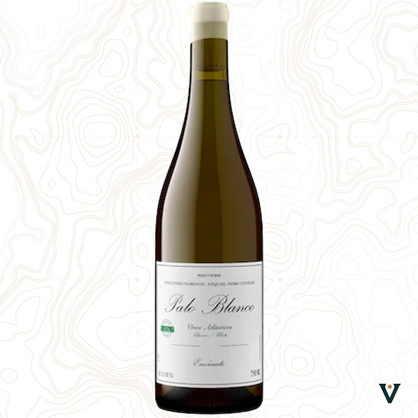 ENVINATE, PALO BLANCO 2024 MAGNUM - VINS DE LIEUX