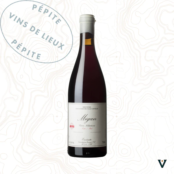 ENVINATE, MIGAN 2024 - VINS DE LIEUX