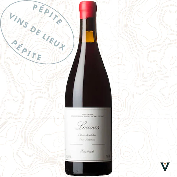 ENVINATE, VINA DE ALDEA 2024 MAGNUM - VINS DE LIEUX