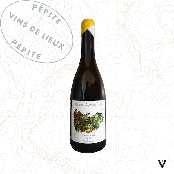 MAISON STEPHANE SAILLET, ROMORANTIN 2022 - VINS DE LIEUX