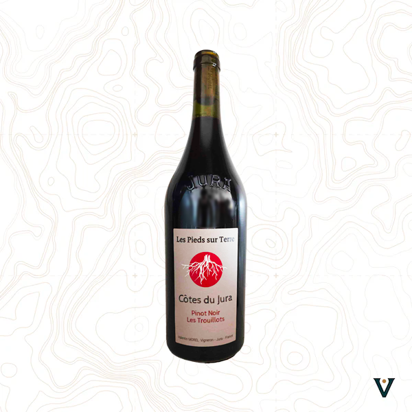 VALENTIN MOREL, PINOT NOIR "LES TROUILLOTS" CÔTES-DU-JURA 2022 - VINS DE LIEUX