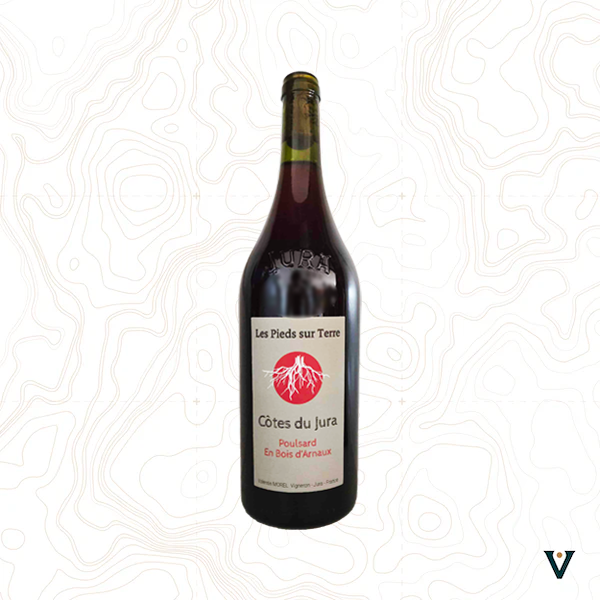 VALENTIN MOREL, POULSARD "EN BOIS D'ARNAUX" CÔTES-DU-JURA 2023 - VINS DE LIEUX